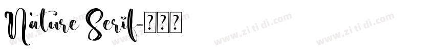 Nature Serif字体转换